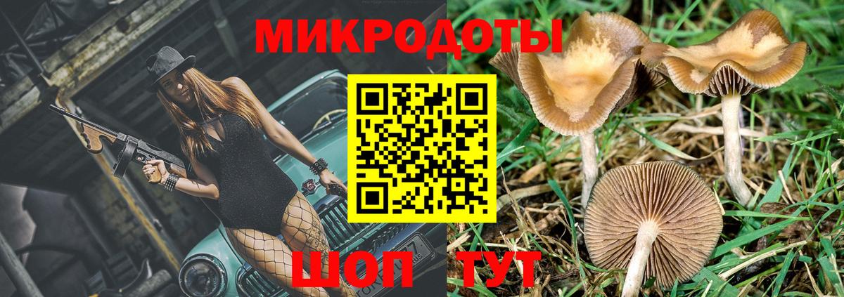 Казань  Галлюциногенные грибы MAGIC MUSHROOMS  Вход с VPN 